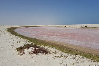Unexplored-Oman-05