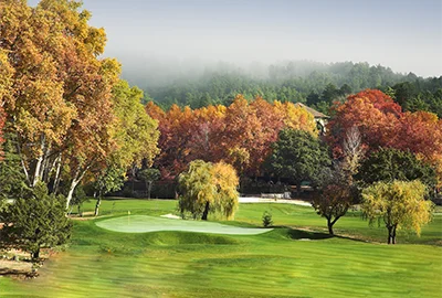 Portugal, Madeira, Palheiro Golf Portugal, Madeira, Palheiro Golf