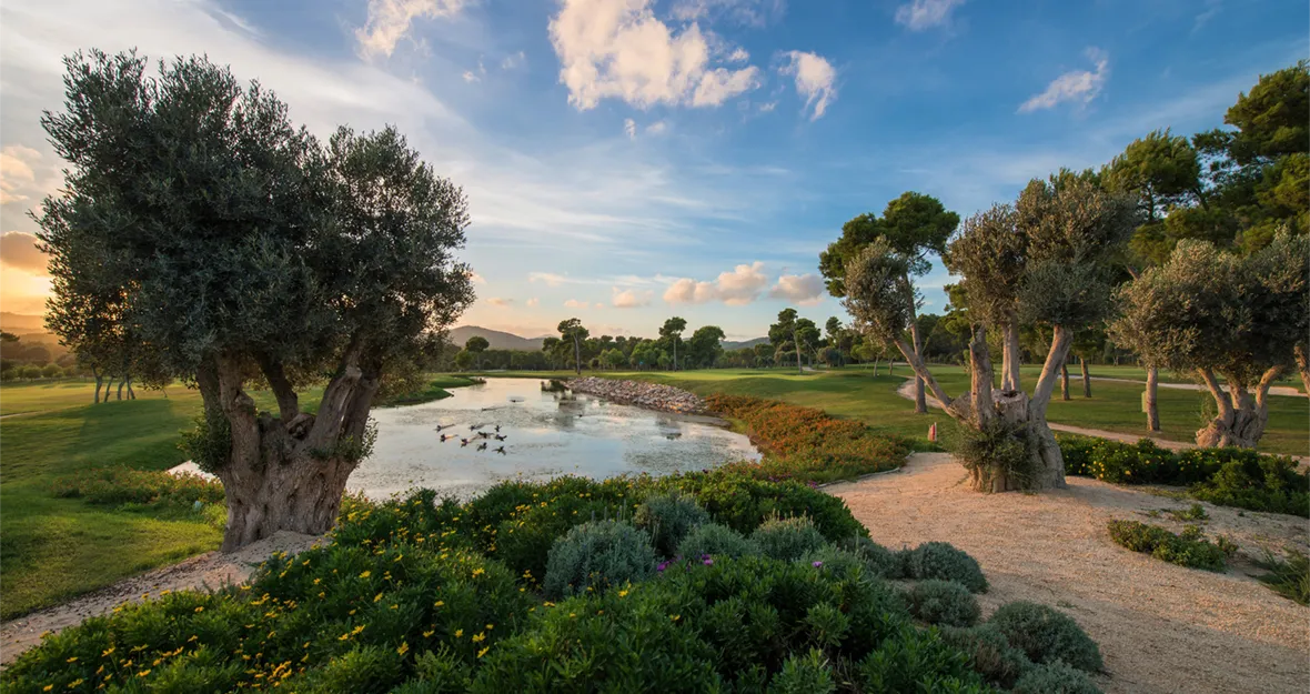 Golf Son Servera Mallorca